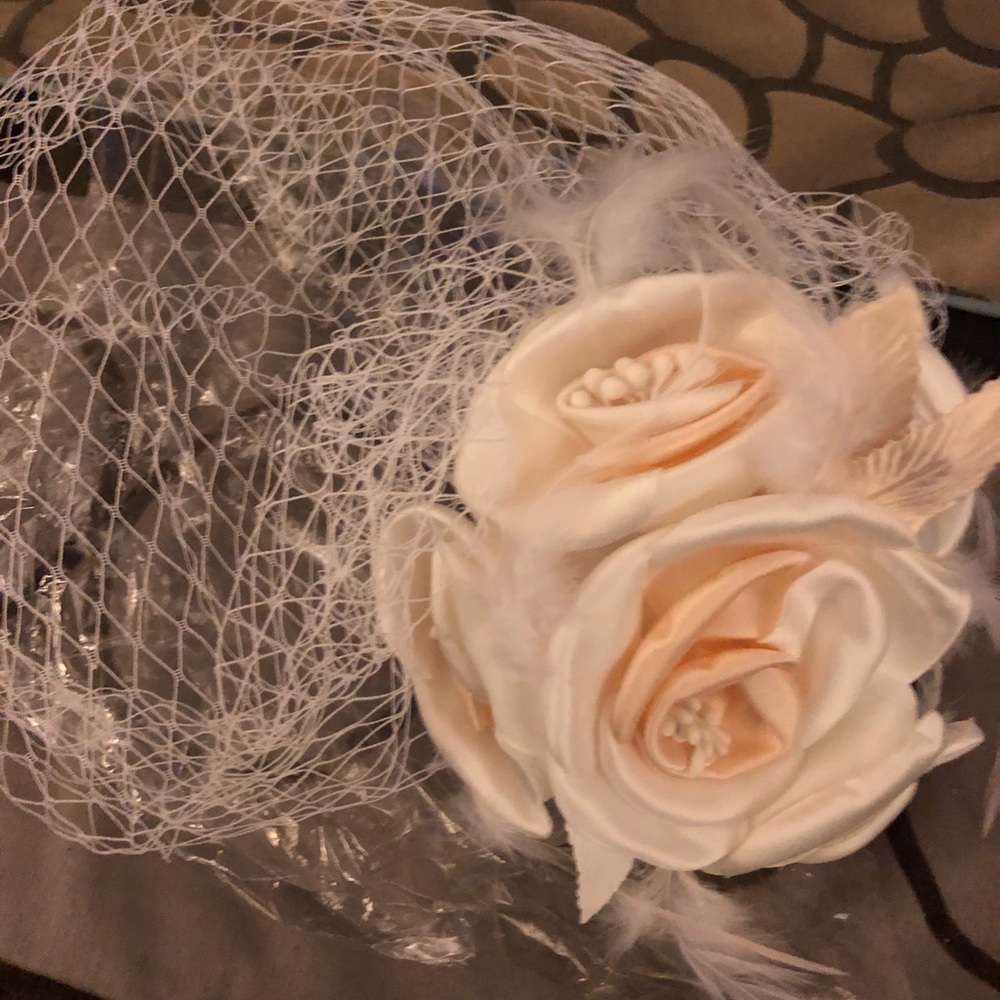 Rose Birdcage Veil
